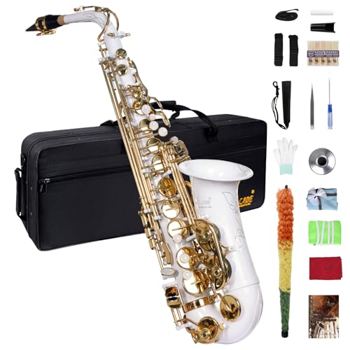 Saxophone Beginners Students Saxophones Beginner