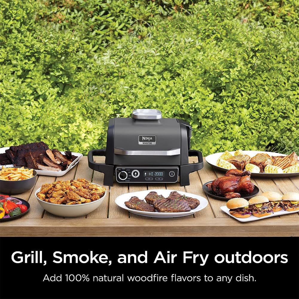 Ninja Woodfire Grill Smoker Fryer